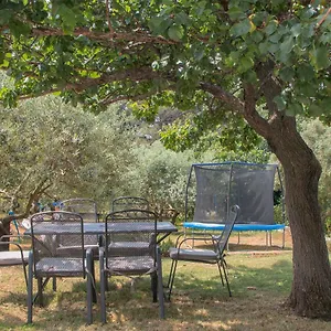 Olea , Pula Kroatien